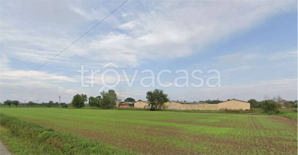 terreno agricolo in vendita a Calvisano in zona Mezzane