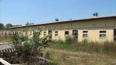 terreno agricolo in vendita a Calvisano
