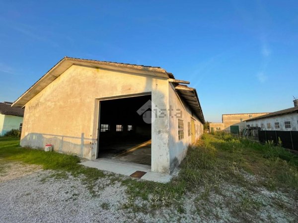 terreno edificabile in vendita a Calvisano
