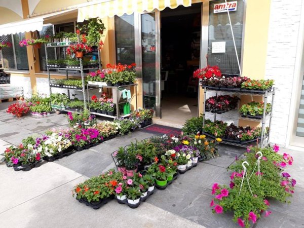 negozio in vendita a Calvisano