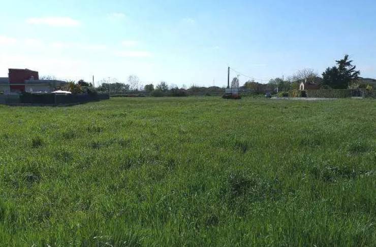 terreno agricolo in vendita a Calvisano