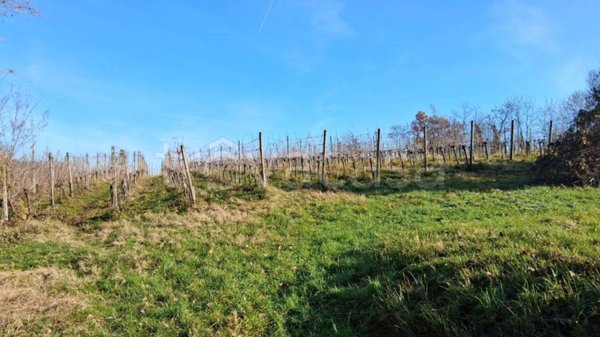 terreno agricolo in vendita a Capriano del Colle
