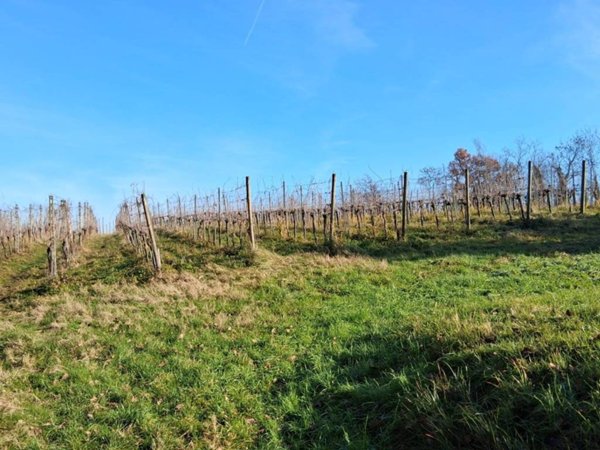 terreno agricolo in vendita a Capriano del Colle