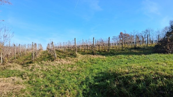 terreno agricolo in vendita a Capriano del Colle