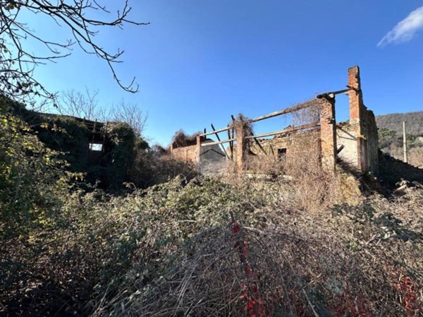 casa indipendente in vendita a Capriolo