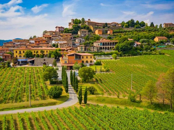 appartamento in vendita a Capriolo