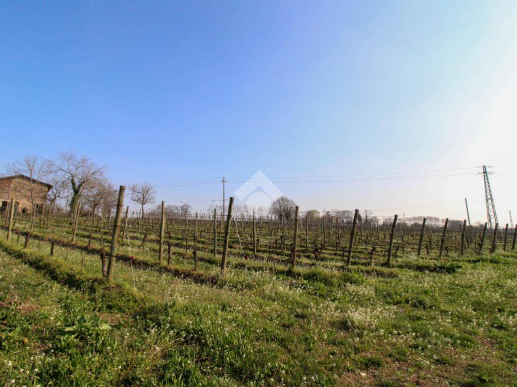 terreno agricolo in vendita a Capriolo