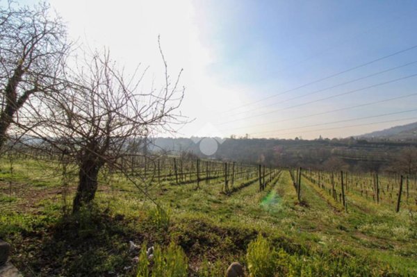 terreno agricolo in vendita a Capriolo