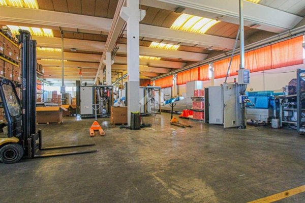 capannone in vendita a Capriolo