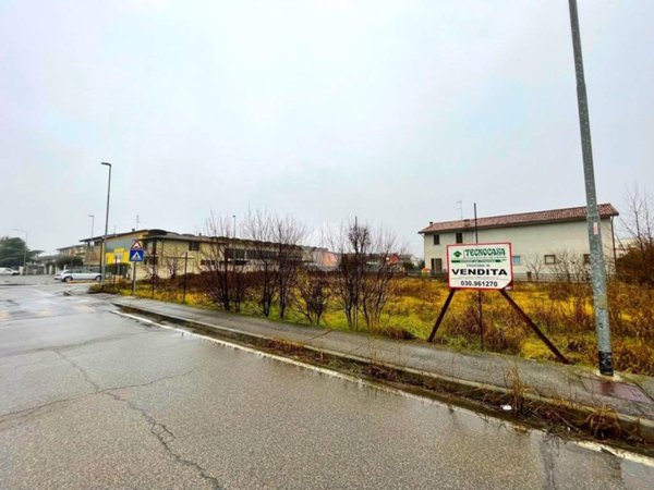 terreno agricolo in vendita a Carpenedolo
