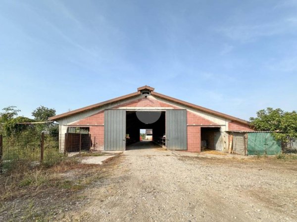 locale commerciale in vendita a Carpenedolo in zona Livelli