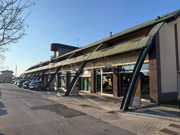 appartamento in vendita a Carpenedolo