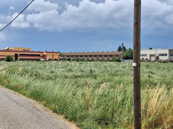 terreno agricolo in vendita a Carpenedolo in zona Tezze