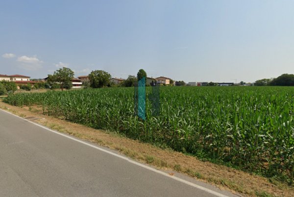 terreno edificabile in vendita a Carpenedolo in zona Lametta