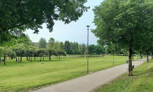 immagine annuncio 0 di 1