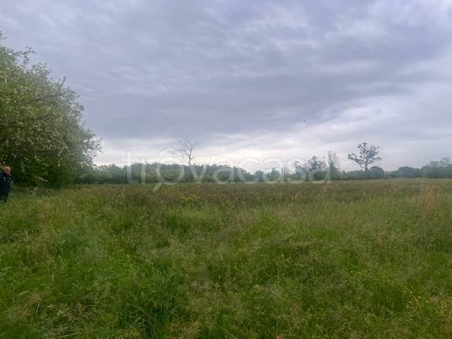 terreno agricolo in vendita a Castenedolo