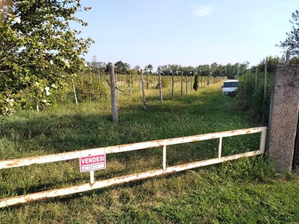 terreno agricolo in vendita a Castenedolo