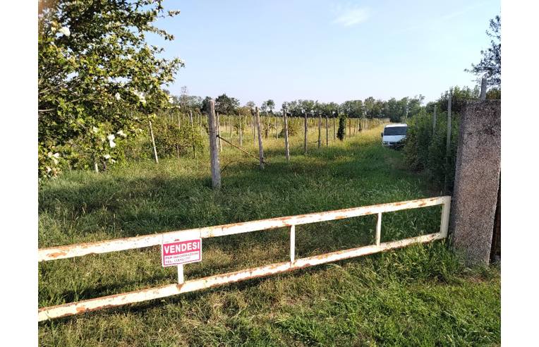 terreno agricolo in vendita a Castenedolo in zona Rodenga-Santa Giustina