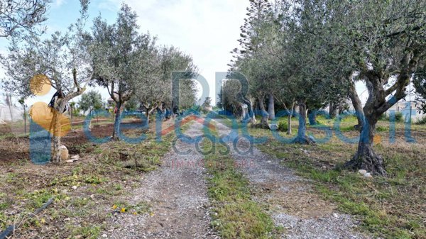 casa indipendente in vendita a Castrezzato in zona Campagna