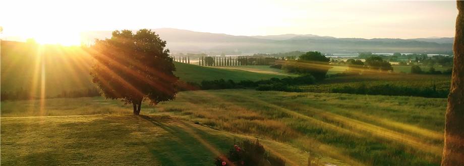 casa indipendente in vendita a Castrezzato in zona Campagna