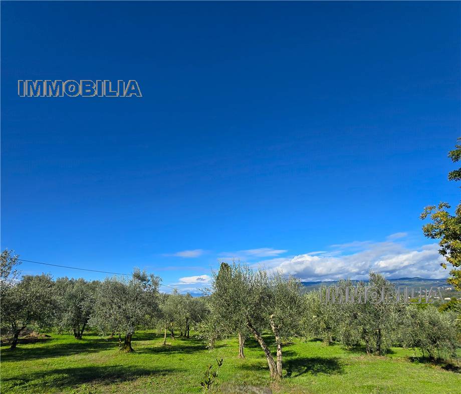 casa indipendente in vendita a Castrezzato in zona Campagna