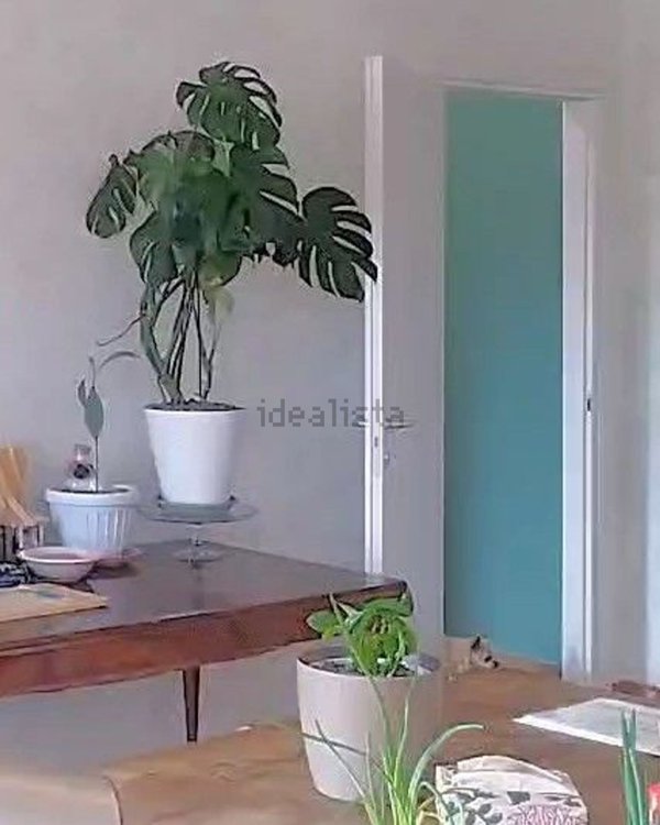 appartamento in vendita a Castrezzato