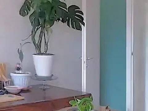 appartamento in vendita a Castrezzato