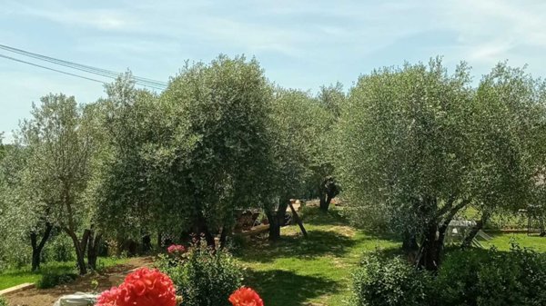 appartamento in vendita a Castrezzato in zona Campagna