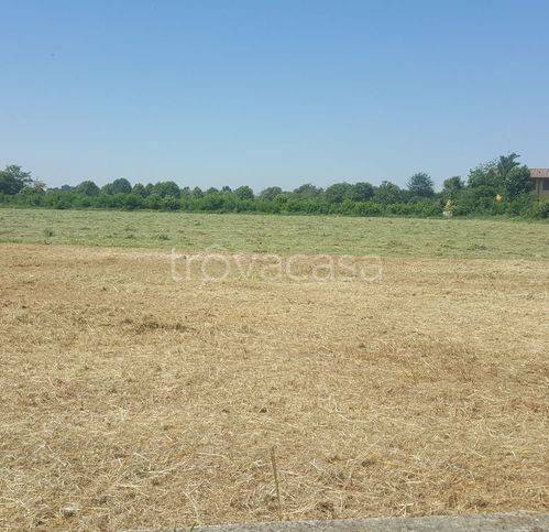 terreno agricolo in vendita a Cazzago San Martino