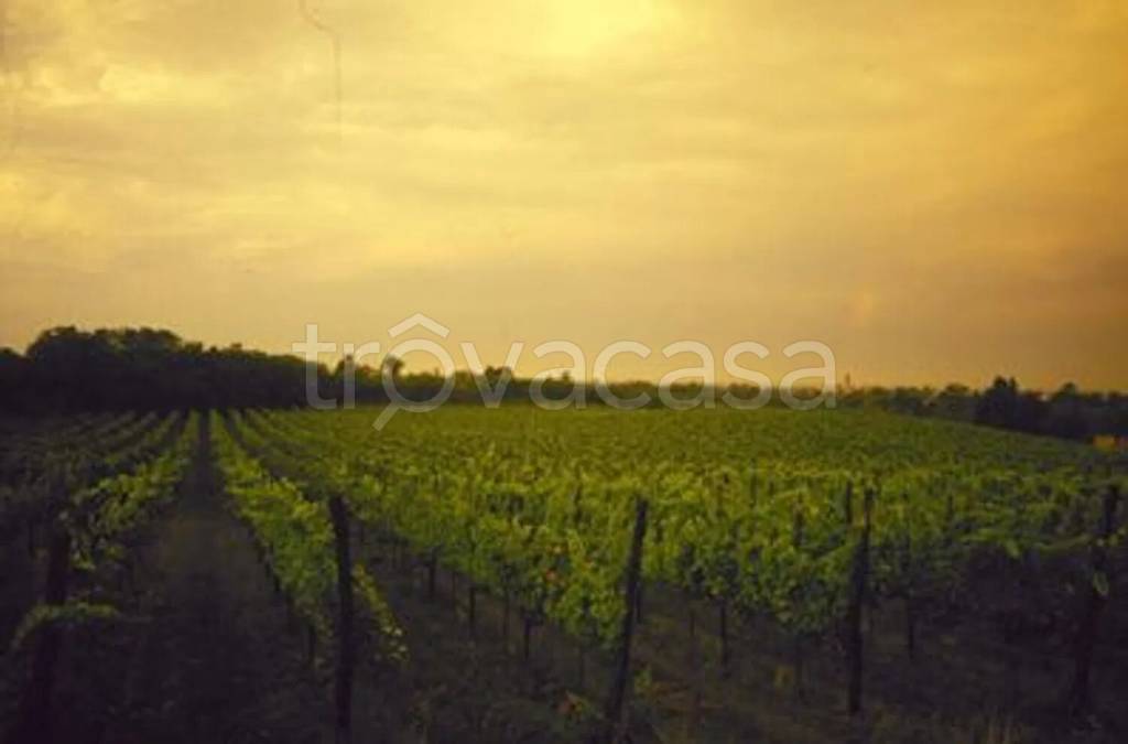 terreno agricolo in vendita a Cazzago San Martino