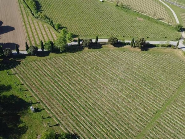 terreno agricolo in vendita a Cazzago San Martino in zona Bornato