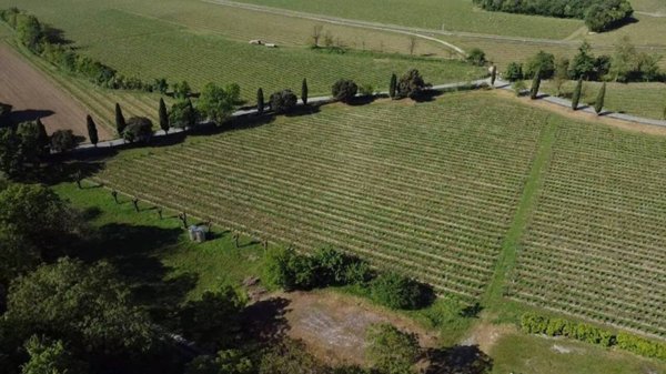 casa indipendente in vendita a Cazzago San Martino in zona Bornato