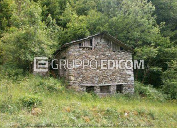 quadrivano in vendita a Cedegolo