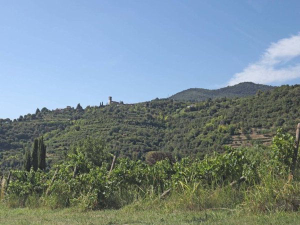 appartamento in vendita a Cellatica