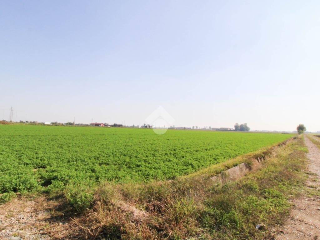 terreno agricolo in vendita a Chiari
