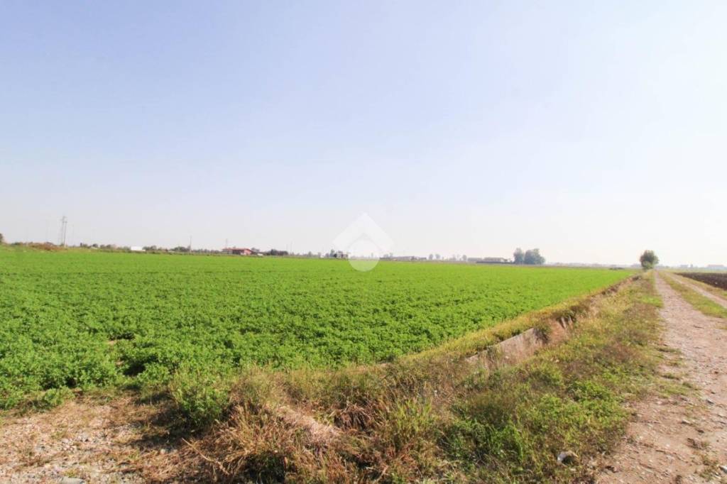terreno agricolo in vendita a Chiari