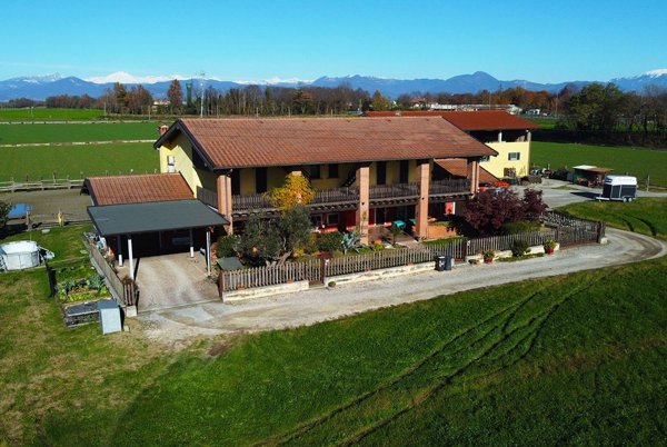 esavano in vendita a Chiari