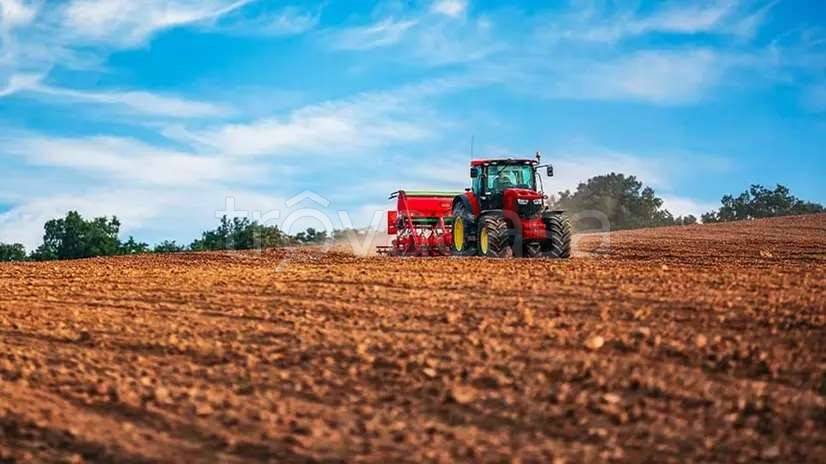 terreno agricolo in vendita a Chiari