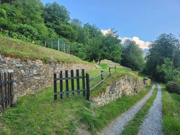 terreno agricolo in vendita a Cimbergo