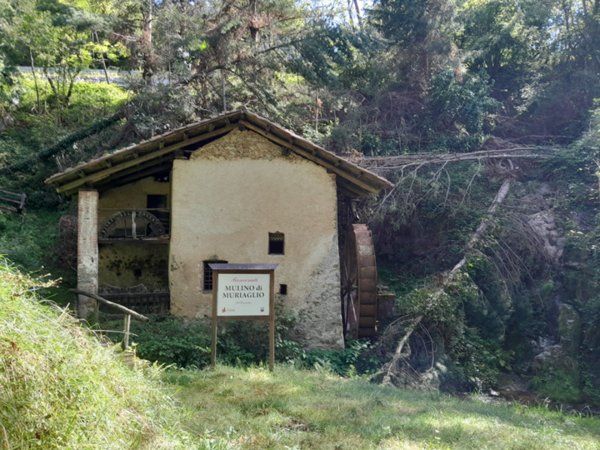 casa indipendente in vendita a Castellamonte in zona Muriaglio
