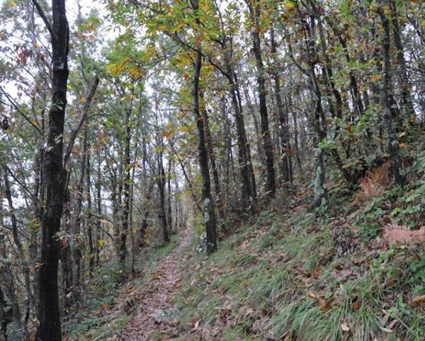 rudere in vendita a Castellamonte in zona Muriaglio