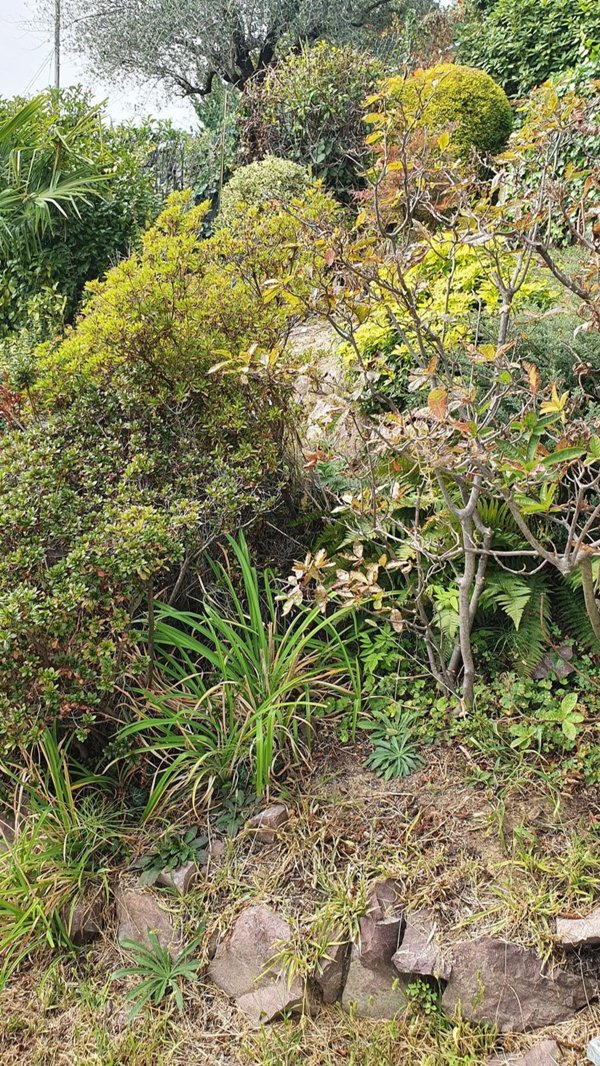 casa indipendente in vendita a Castellamonte