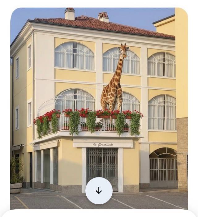 appartamento in vendita a Castellamonte