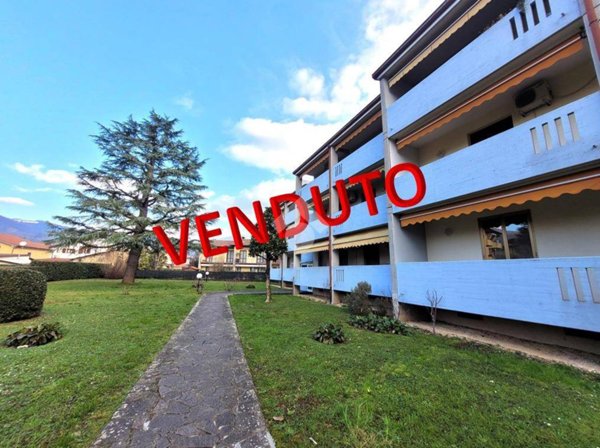 immagine annuncio 0 di 15