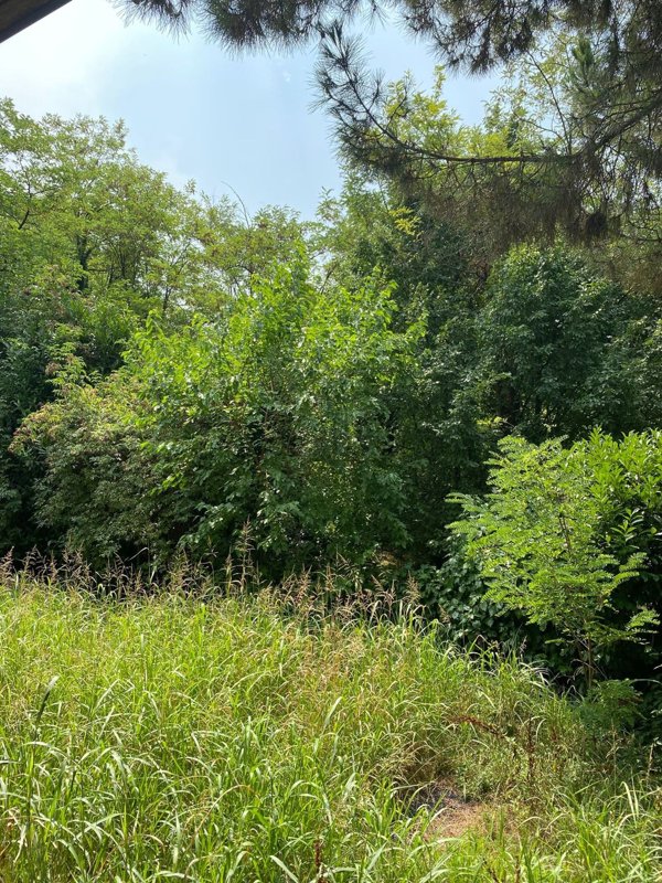 casa indipendente in vendita a Collebeato