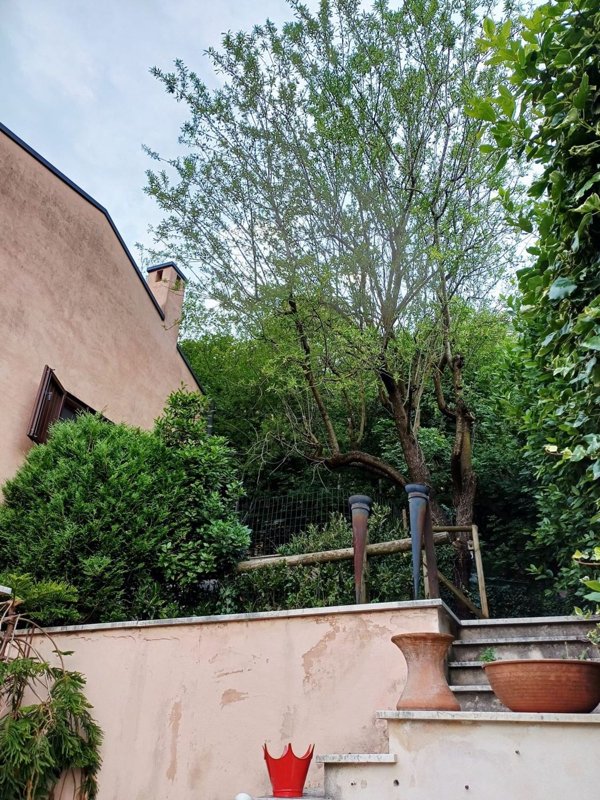 casa indipendente in vendita a Collebeato