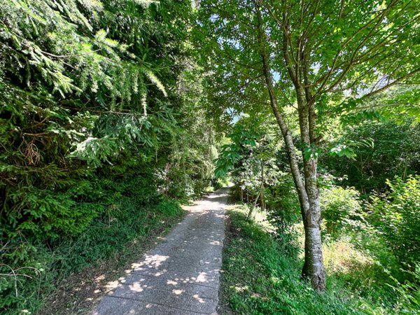 immagine annuncio 0 di 10