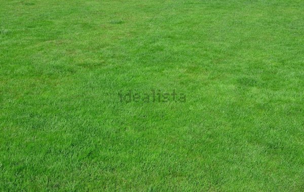 terreno edificabile in vendita a Cologne