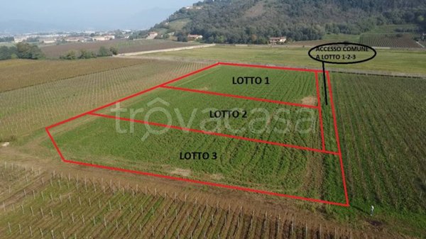 terreno agricolo in vendita a Cologne