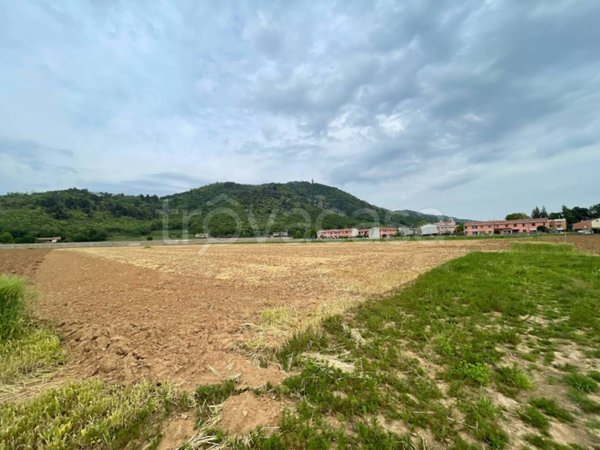 terreno agricolo in vendita a Cologne